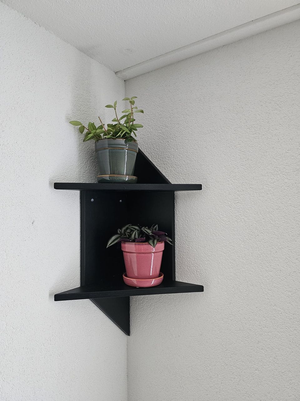 Zwarte hoekplank met planten